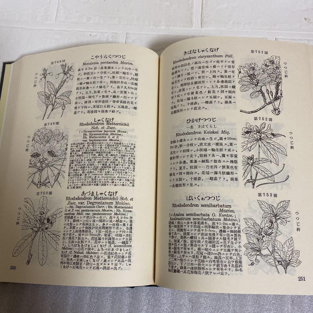 豊富なお得 牧野 北隆館 iJpSv-m60415792976 日本植物図鑑 NEW