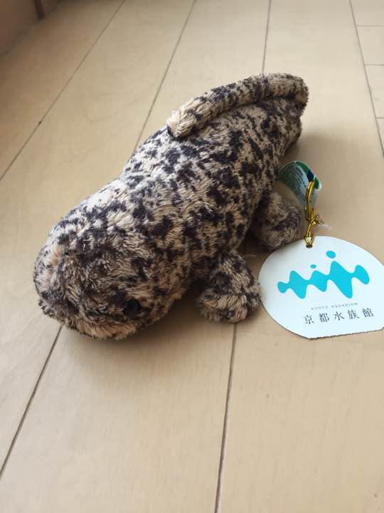 メルカリ サンショウオ 京都水族館限定 ぬいぐるみ 555 中古や未使用のフリマ メルカリ サンショウオ 京都水族館限定 ぬいぐるみ 555 中古や未使用のフリマ