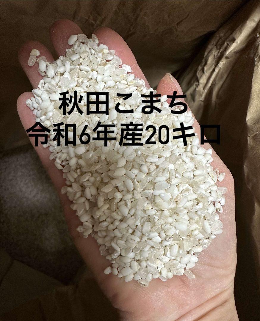 秋田こまち 新米 令和6年産 20キロ