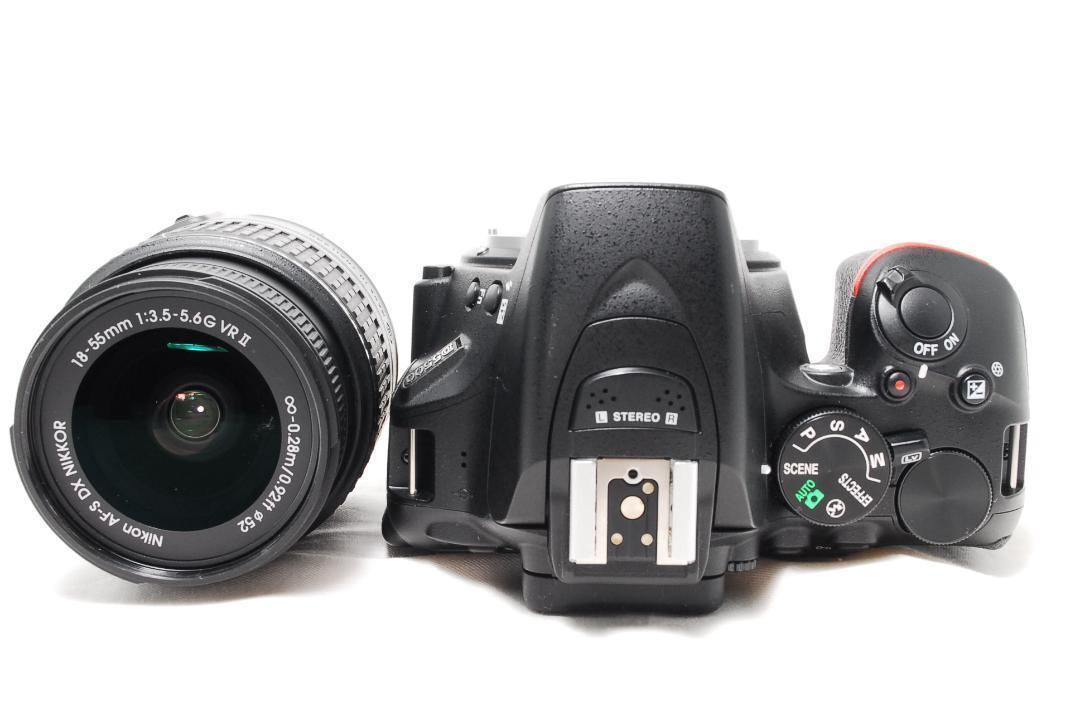 Nikon D5500