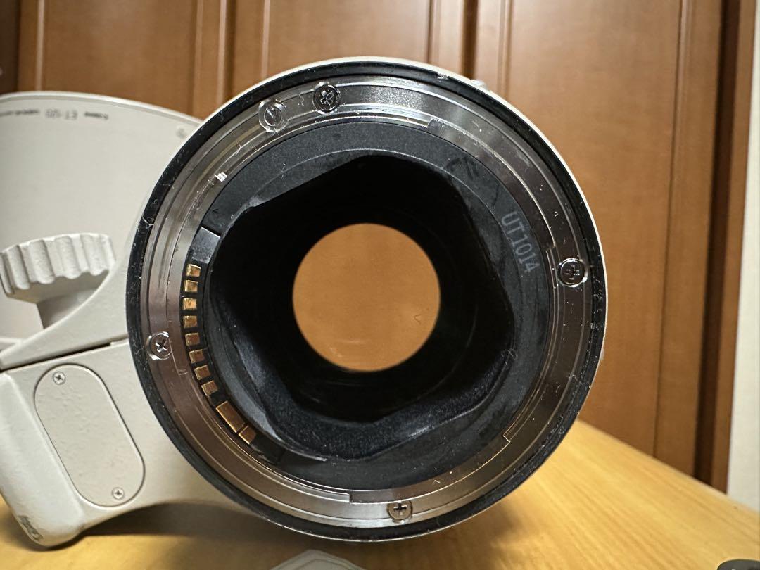 Canon ef300f2.8lisusmとCanon ef1.4エクステンダー