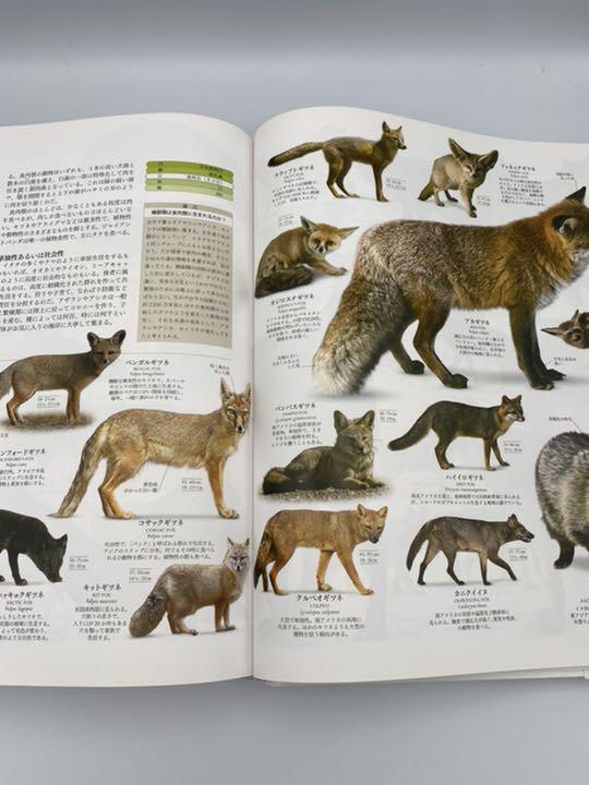 地球博物学大図鑑