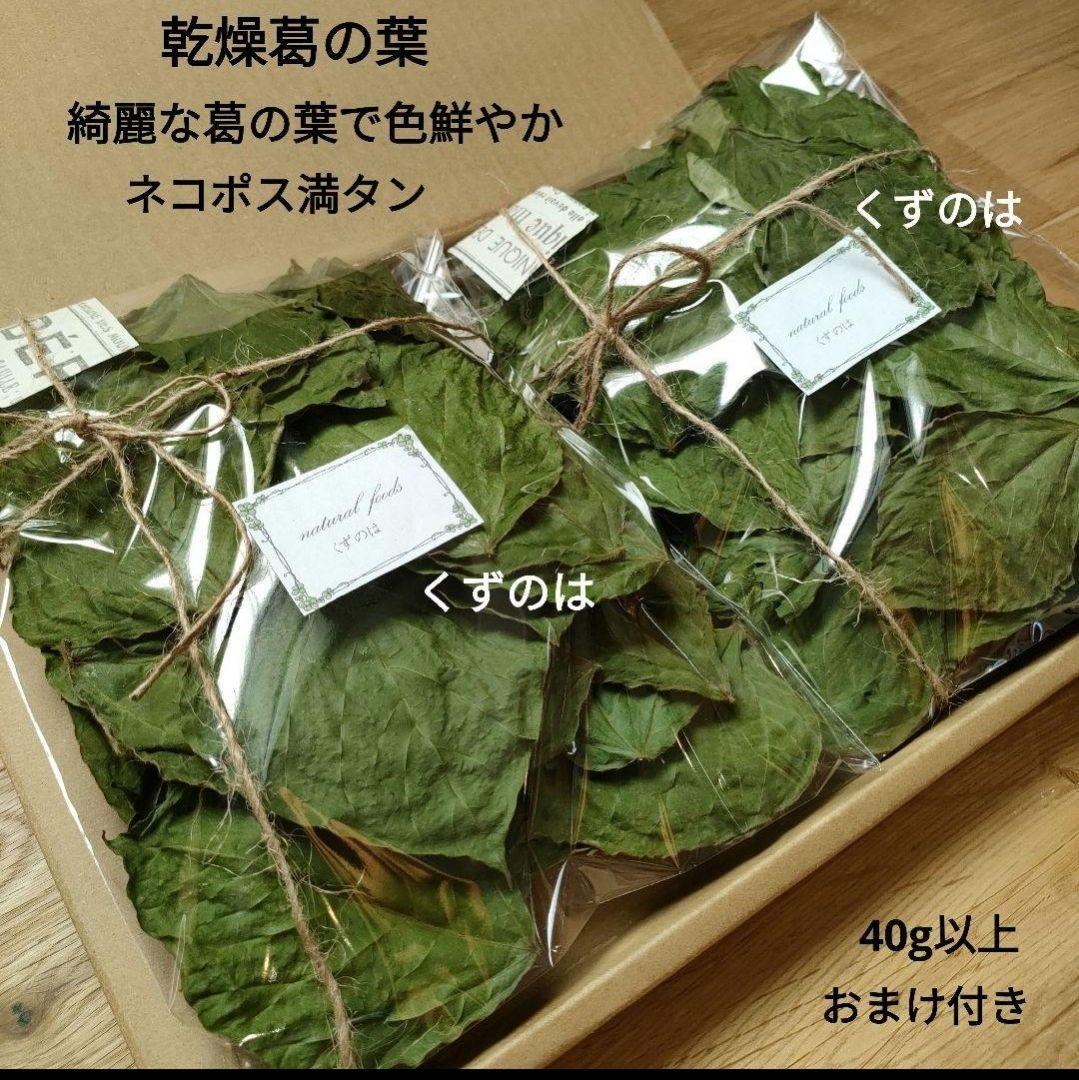 乾燥葛の葉 小動物 おやつ うさぎ モルモット チンチラ デグー