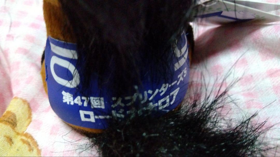 競馬　アイドルホース　ロードカナロア　スプリンターズS　Sサイズ　未使用