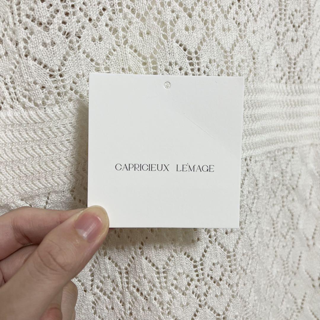 CAPRICIEUX LE'MAGE｜レースVプルオーバー | Rakuten Fashion