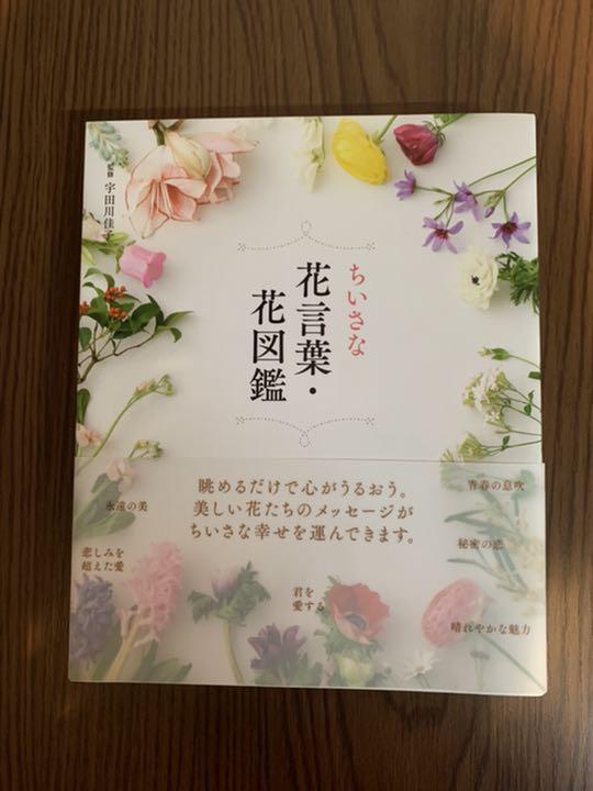 ちいさな花言葉 花図鑑 9ninelives Com