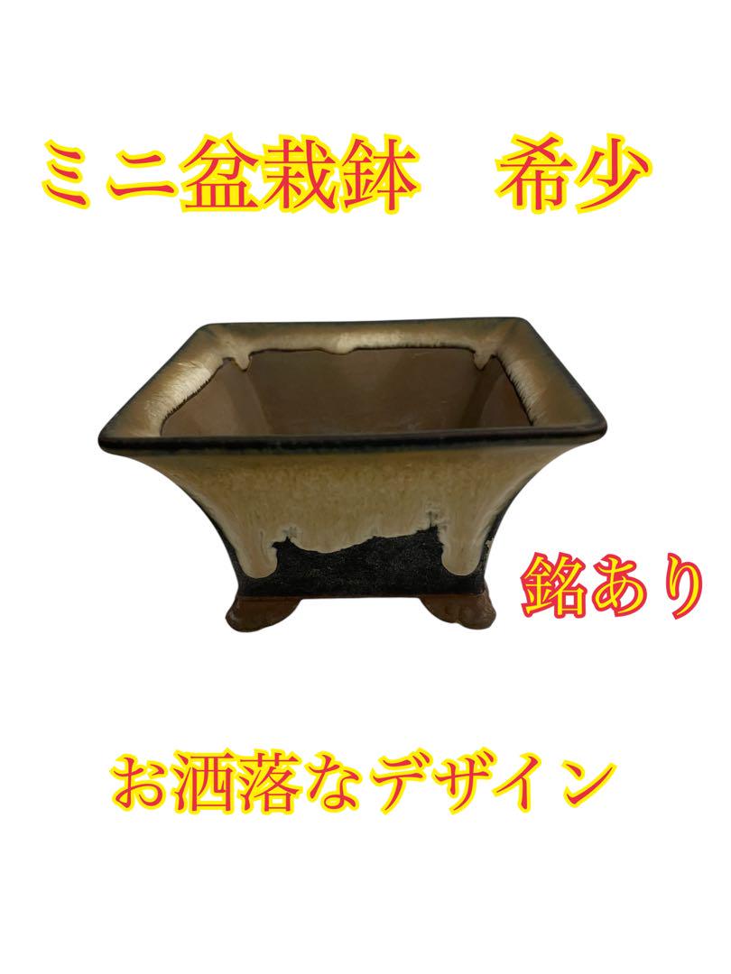 ❷希少 まミニ盆栽鉢 銘あり おしゃれなデザイン 陶器 植木鉢