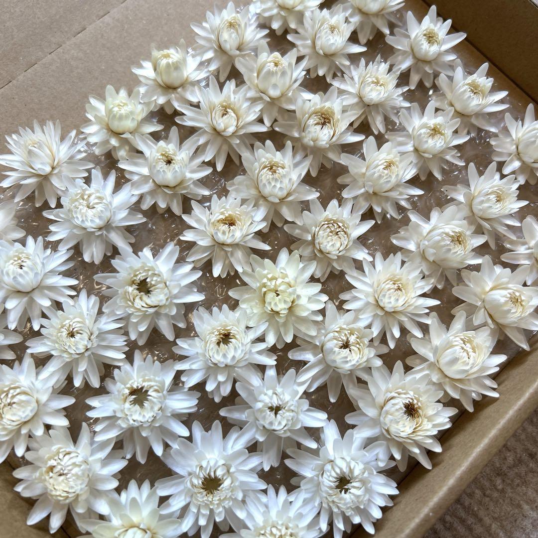 hana ❀ tsumugi … ♡様　ご確認用