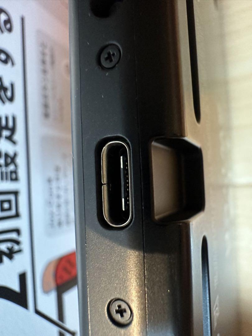 ニンテンドースイッチ本体　あつまれどうぶつの森