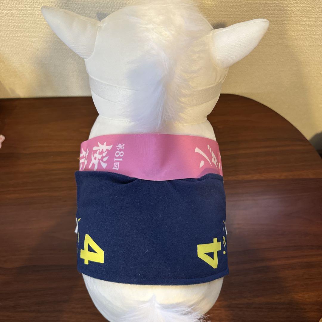 サラブレッドコレクション ソダシ BIGぬいぐるみ