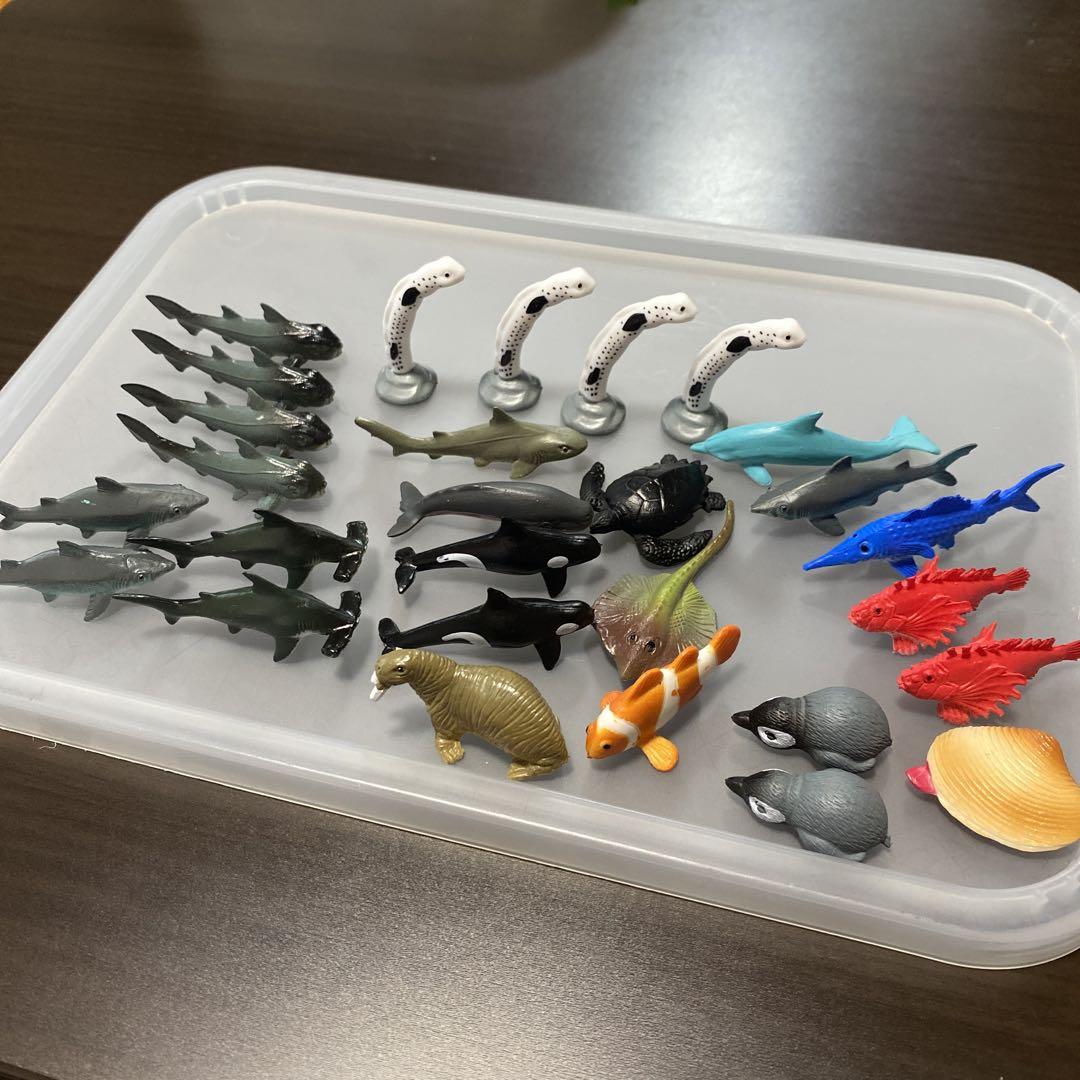 海の生き物 フィギュア セット売り - メルカリ