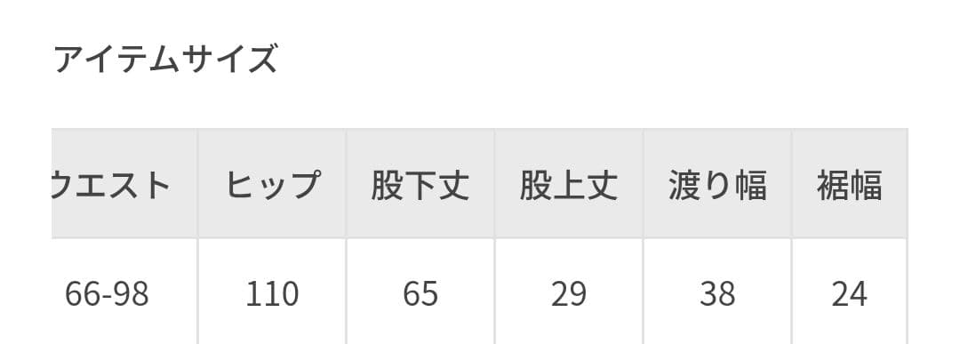 タグ付き試着のみ サロンアダムエロペ ウールワッシャーパンツ ワイドパンツ