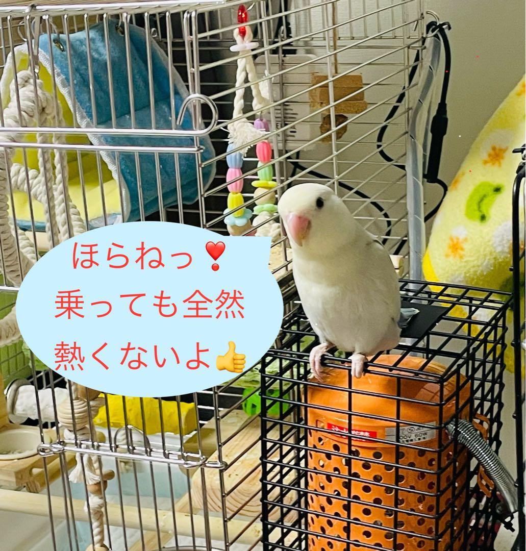【3個】ペットヒーター 保温電球 カバー 保護ケース メッシュ 鳥 いたずら防止 54☆ ペットヒーター 保温電球 カバー 保護ケース メッシュ 鳥