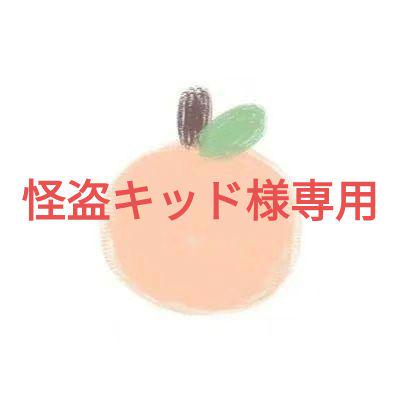 クリスマス限定 ルイヴィトン パスポートケース エッフェル塔@30