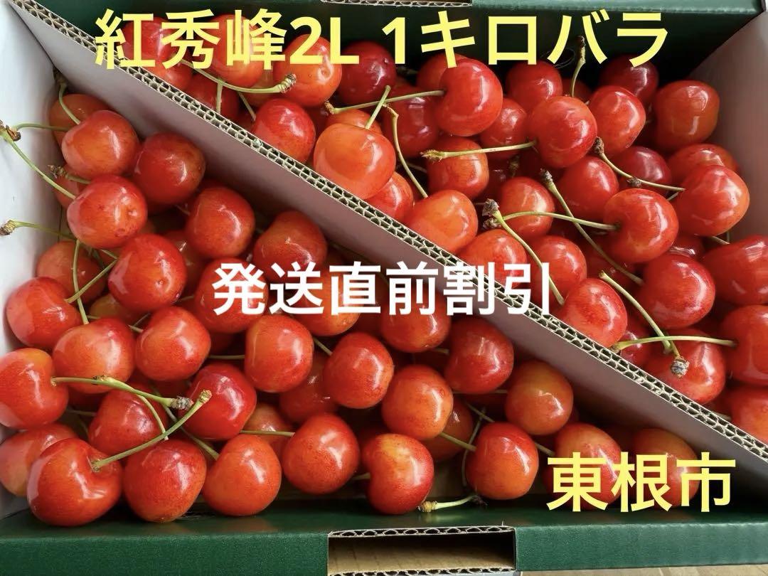 10.紅秀峰2L 1キロバラ 東根市産