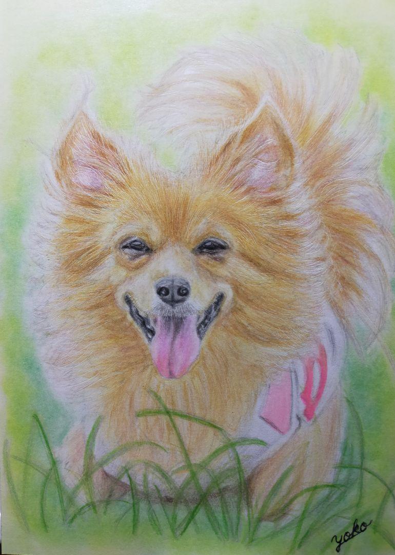 専用　色鉛筆画　絵画　原画　オーダーページです