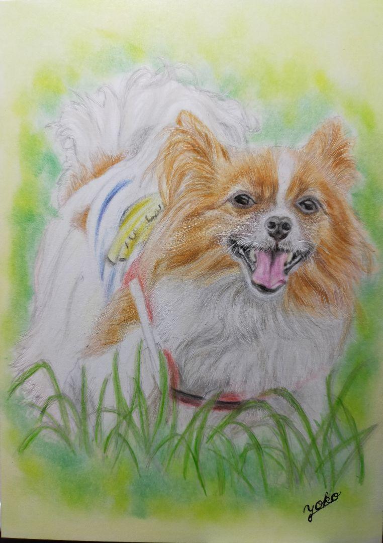 専用　色鉛筆画　絵画　原画　オーダーページです