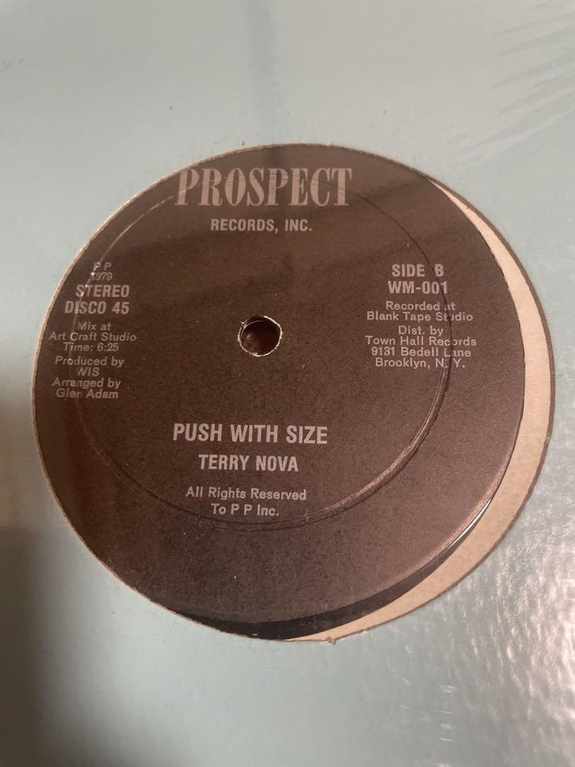 洋楽 TERRY NOVA (12inch) - Push With Size