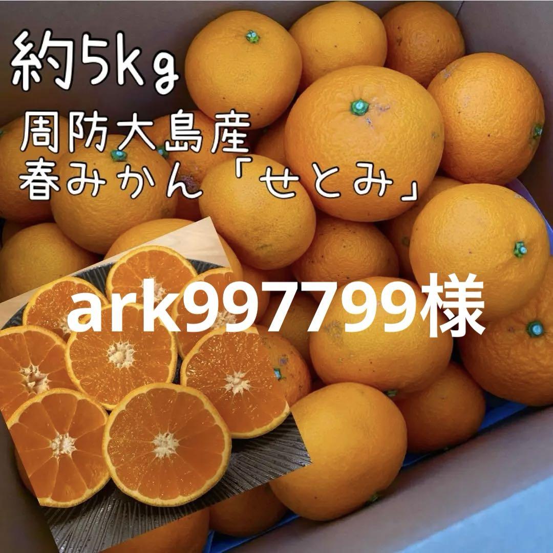 鹿児島産温室みかん[2.4kg]｜水・焼酎の財宝オンラインショップ