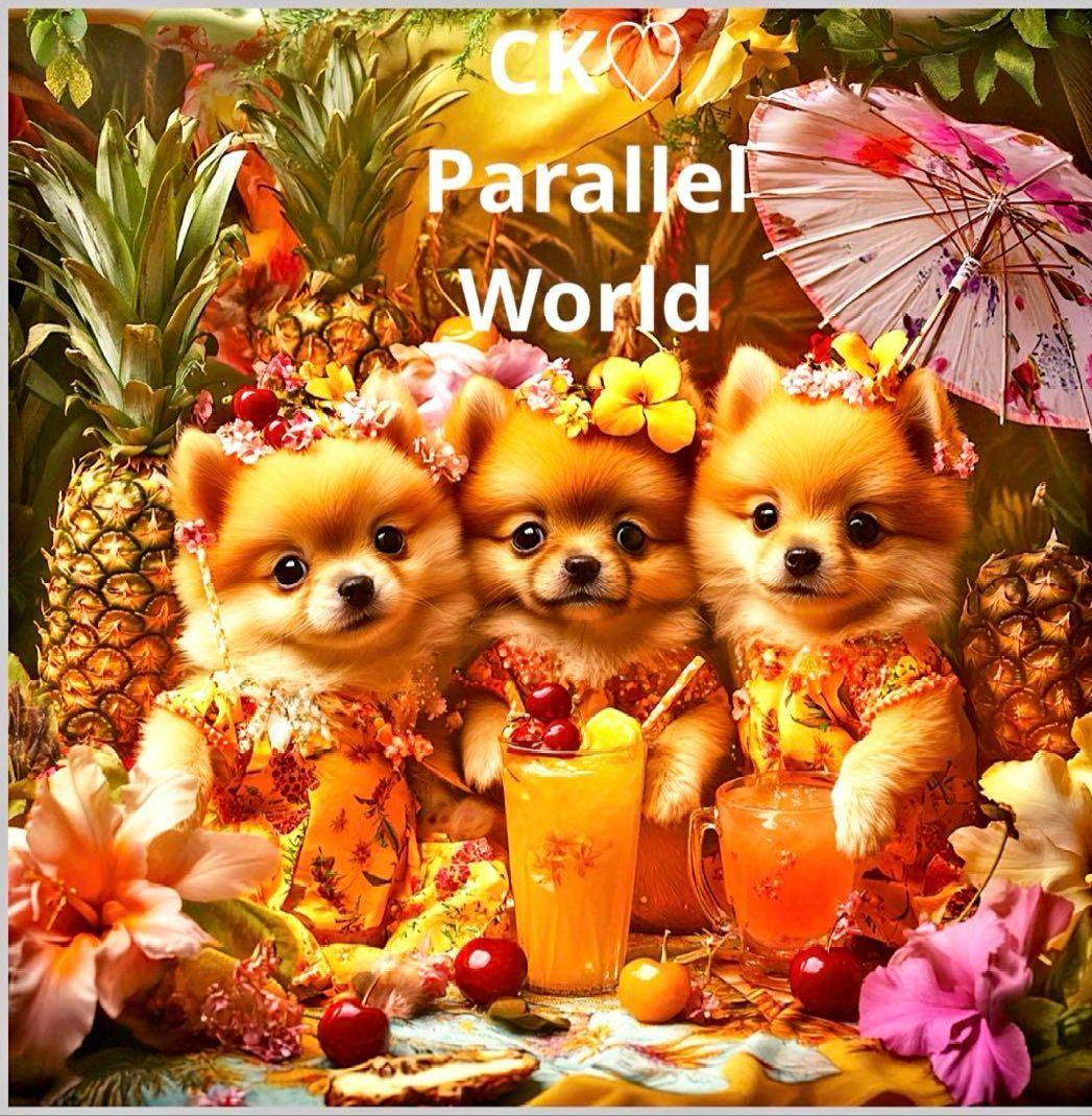 192 ☆オーダーページ☆ハンカチ ポメラニアン柄 7/10 - メルカリ