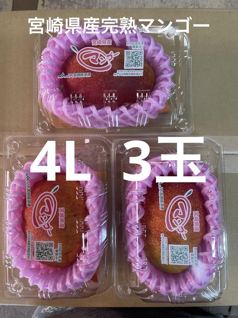 宮崎完熟マンゴー4L 3玉