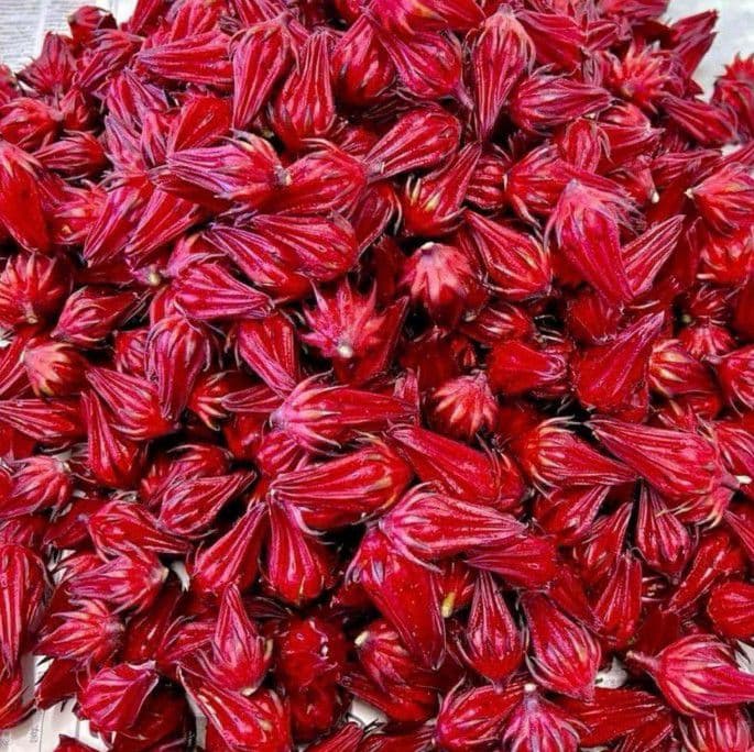 2025 生ハイビスカスローゼル3キロ箱いっぱい ✴︎11月29日〜随時発送✴︎ 2025 生ハイビスカスローゼル3キロ箱いっぱい ✴︎11月29日〜随時発送✴︎