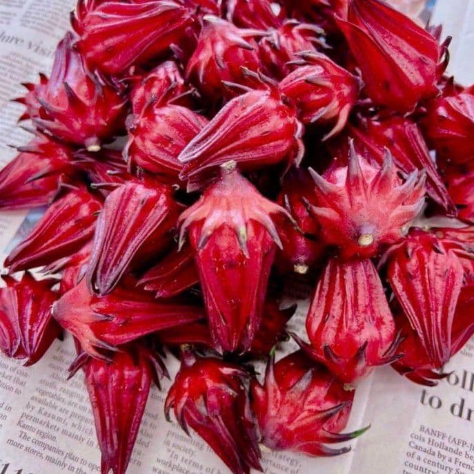 2025 生ハイビスカスローゼル3キロ箱いっぱい ✴︎11月29日〜随時発送✴︎ 2025 生ハイビスカスローゼル3キロ箱いっぱい ✴︎11月29日〜随時発送✴︎