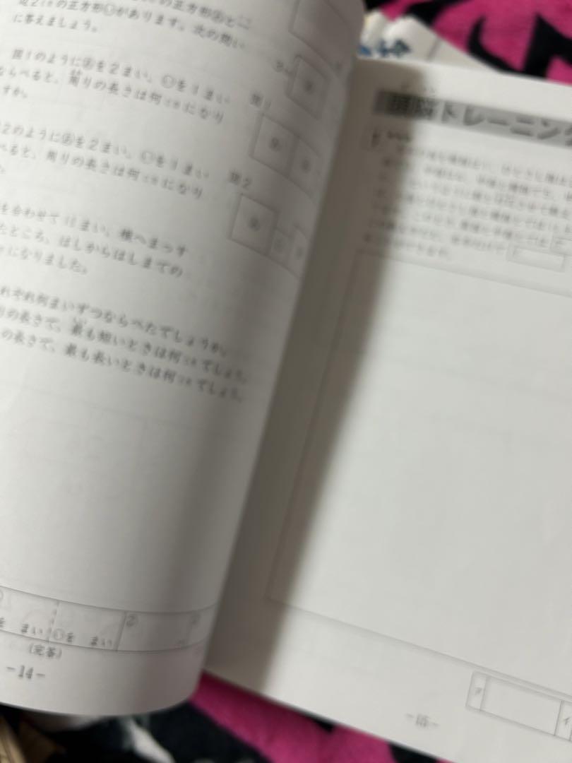 ⑱A SAPIX サピックス　sapix 4年　算数　ディリーサピックス　一年分