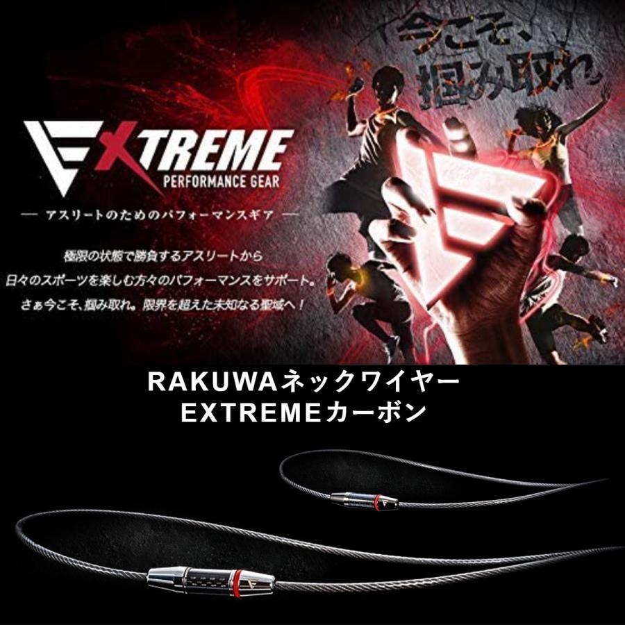 Phiten RAKUWA ネックワイヤー EXTREME カーボン ブラック