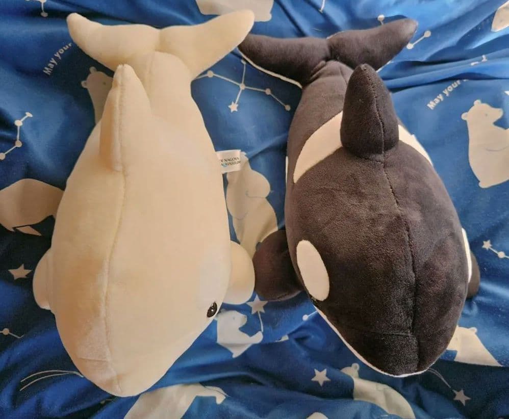 限定✨名古屋港水族館 シャチくじ 3等賞 ブラック アルビノ 2体