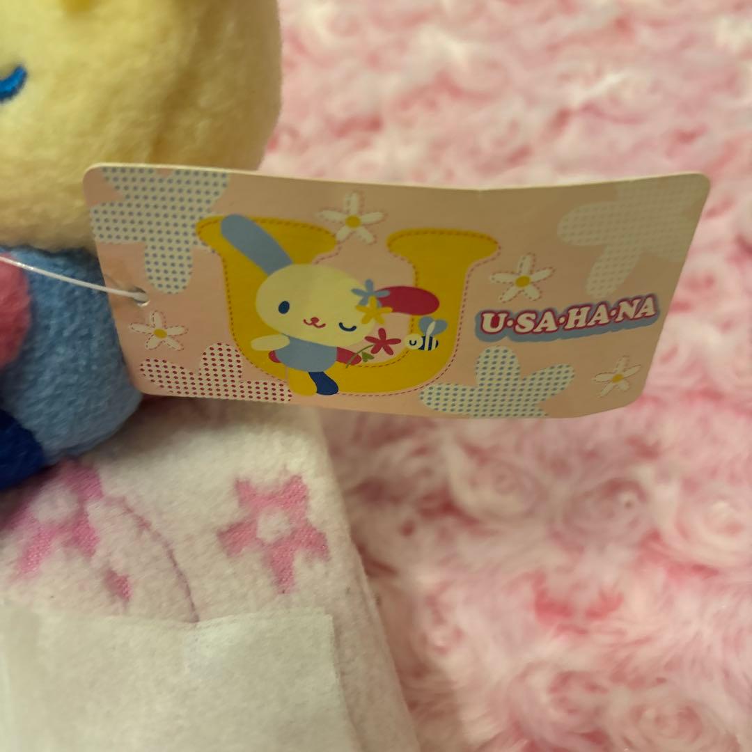 ティッシュケース