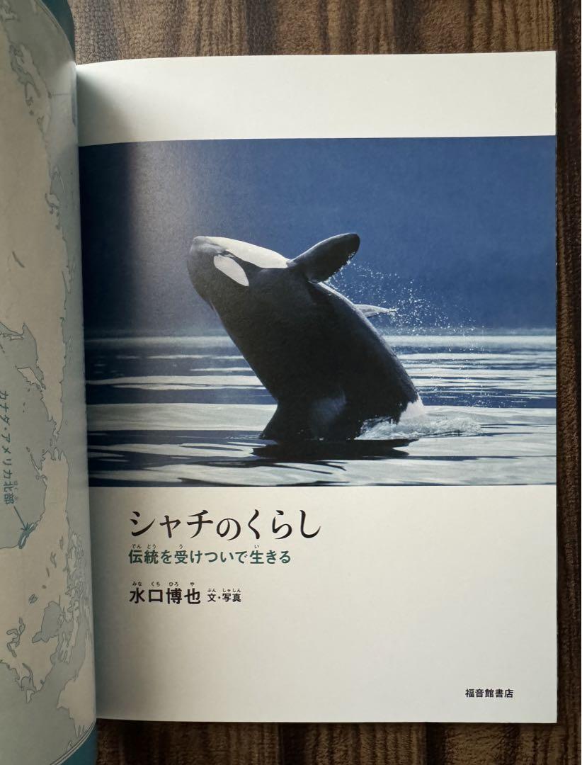 たくさんのふしぎ かがくのとも シャチのくらし シロ