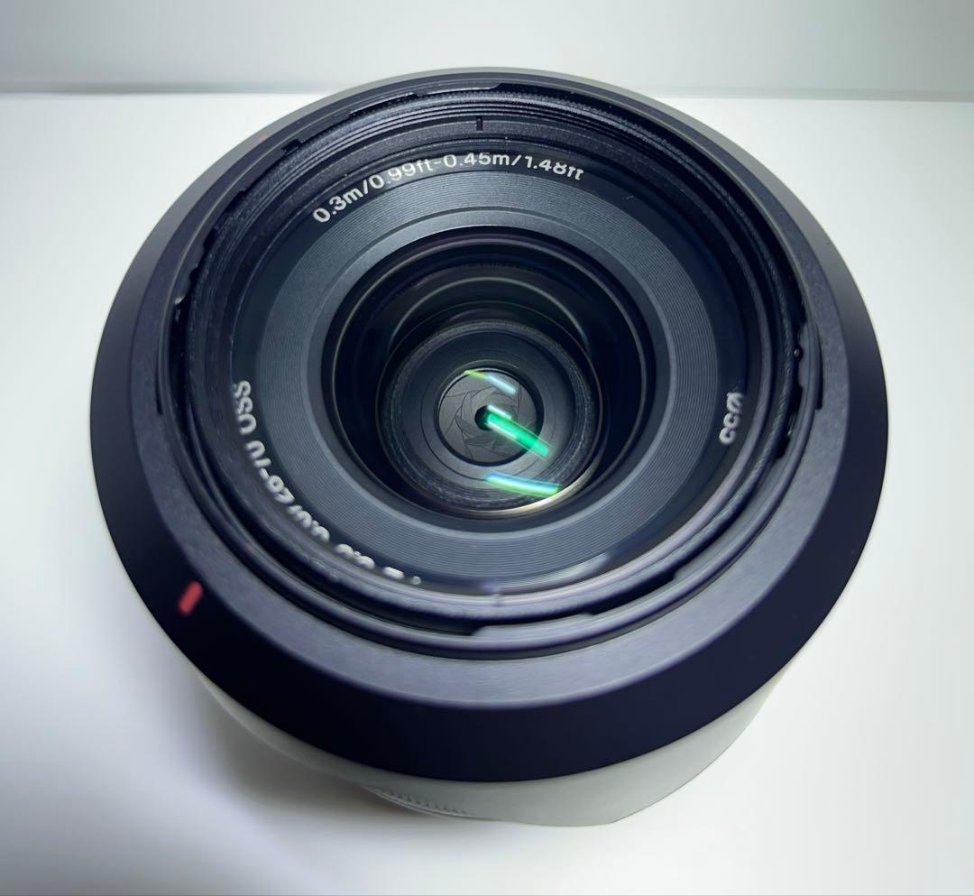 SONY α7III ズームレンズキット(シャッターカウント728回)おまけ有り SONY α7III ズームレンズキット(シャッターカウント728回)おまけ有り