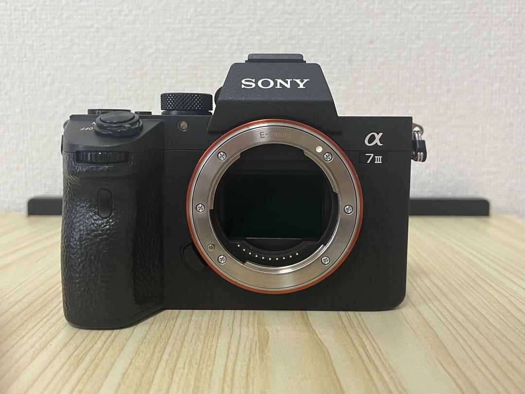 SONY α7 III ミラーレス一眼&シグマ28 ー70 f2.8 DG DN