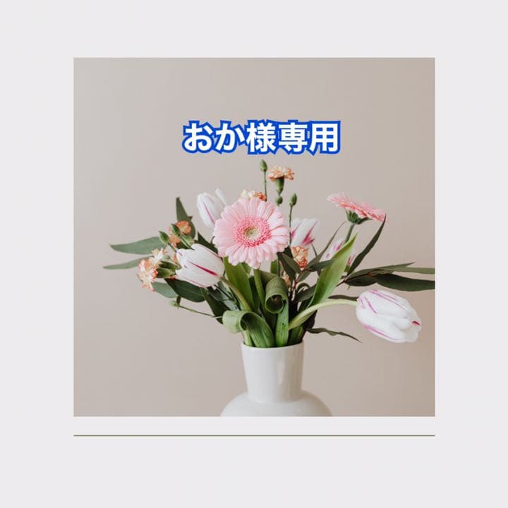 おかさま専用 | www.sejfolheados.com.br