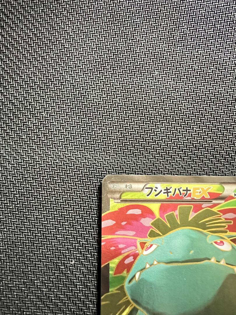 フシギバナEX SR XY1 コレクションX 061/060