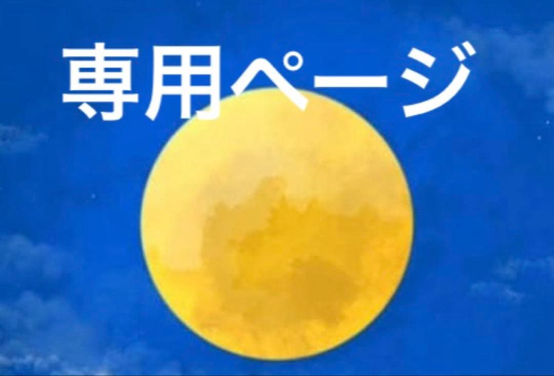 なっぴ様 リクエスト 2点 まとめ商品