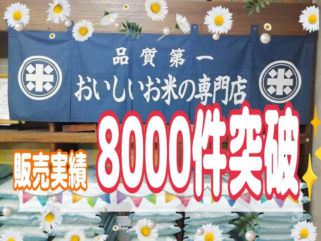 米 ひとめぼれ 30kg R3年産/5kg×6/精米済 白米/ジップロック付/ 米 ひとめぼれ 30kg R3年産/5kg×6/精米済 白米/ジップロック付/