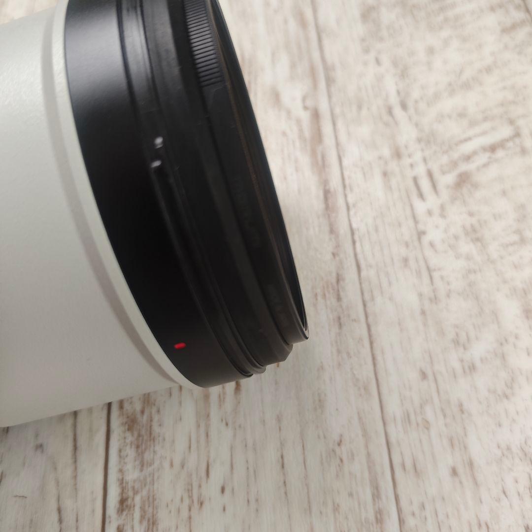 SONY FE 200-600mm F5.6-6.3 SEL200600G SONY FE 200-600mm F5.6-6.3 SEL200600G