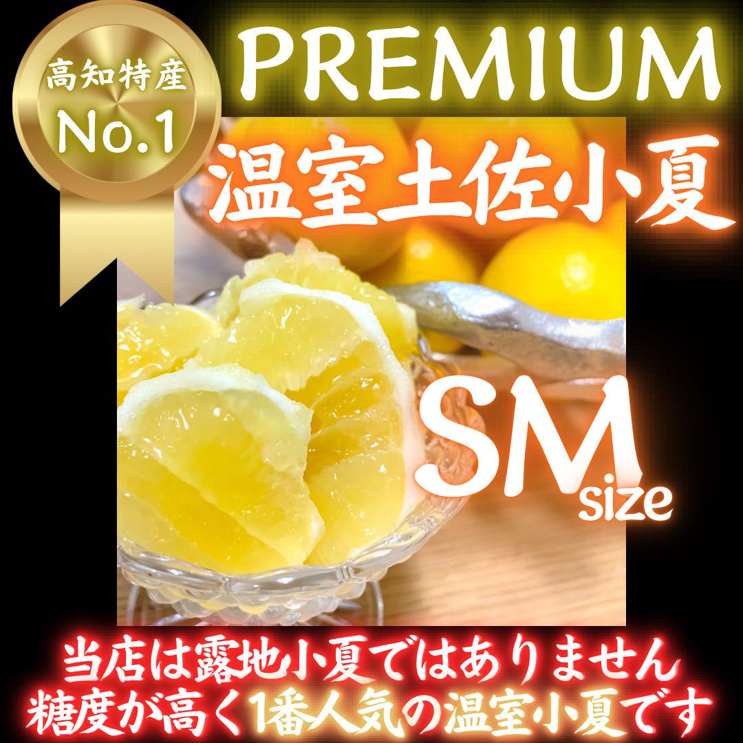 3高知特産 温室 小夏 日向夏 ニューサマーオレンジ SMサイズお任せ 5kg