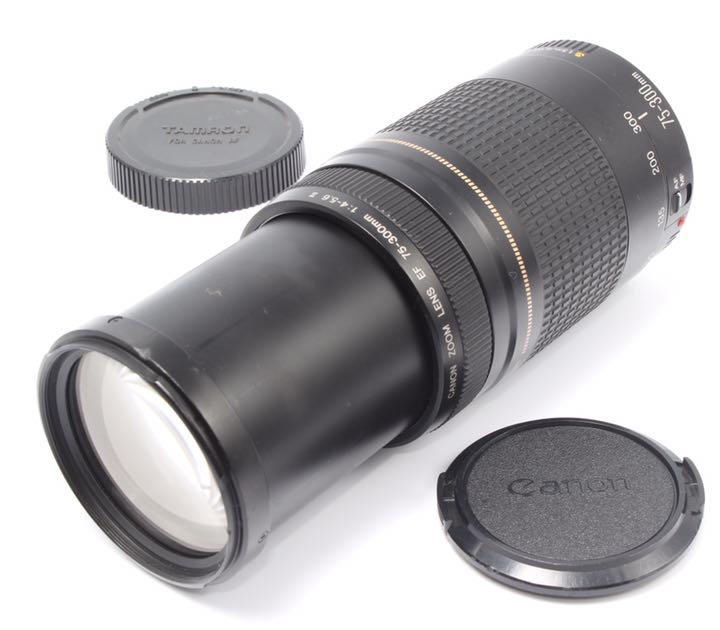 から厳選した キヤノン Canon II F4-5.6 75-300mm EF - レンズ(ズーム) - www.smithsfalls.ca から厳選した キヤノン Canon II F4-5.6 75-300mm EF - レンズ(ズーム) - www.smithsfalls.ca