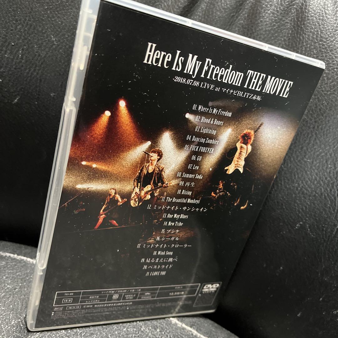 a flood of circle Here Is My Freedom DVD