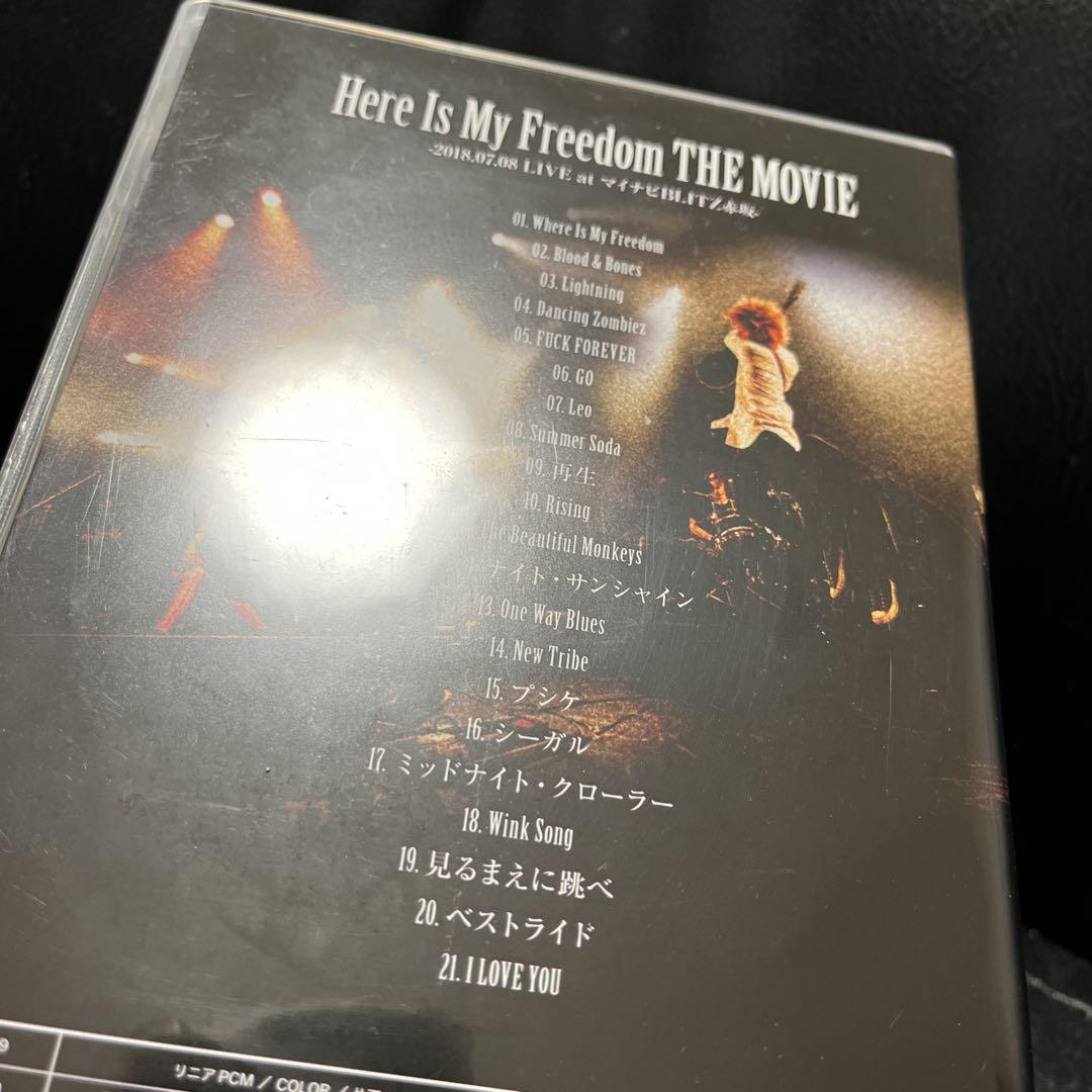 a flood of circle / Here Is My Freedom