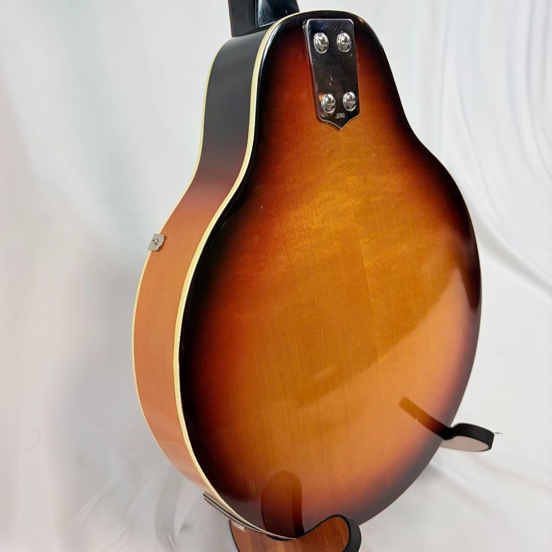 エレキマンドリン　フラットマンドリン　ZEN-ON製　スワニーナ　ハードケース付 エレキマンドリン フラットマンドリン ZEN-ON製 スワニーナ ハード