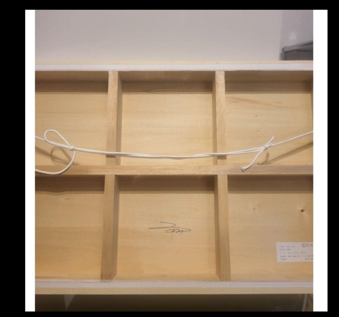 ★品川亮　ユニーク作品　鳥図　サイズ500×750　箱付き真作★