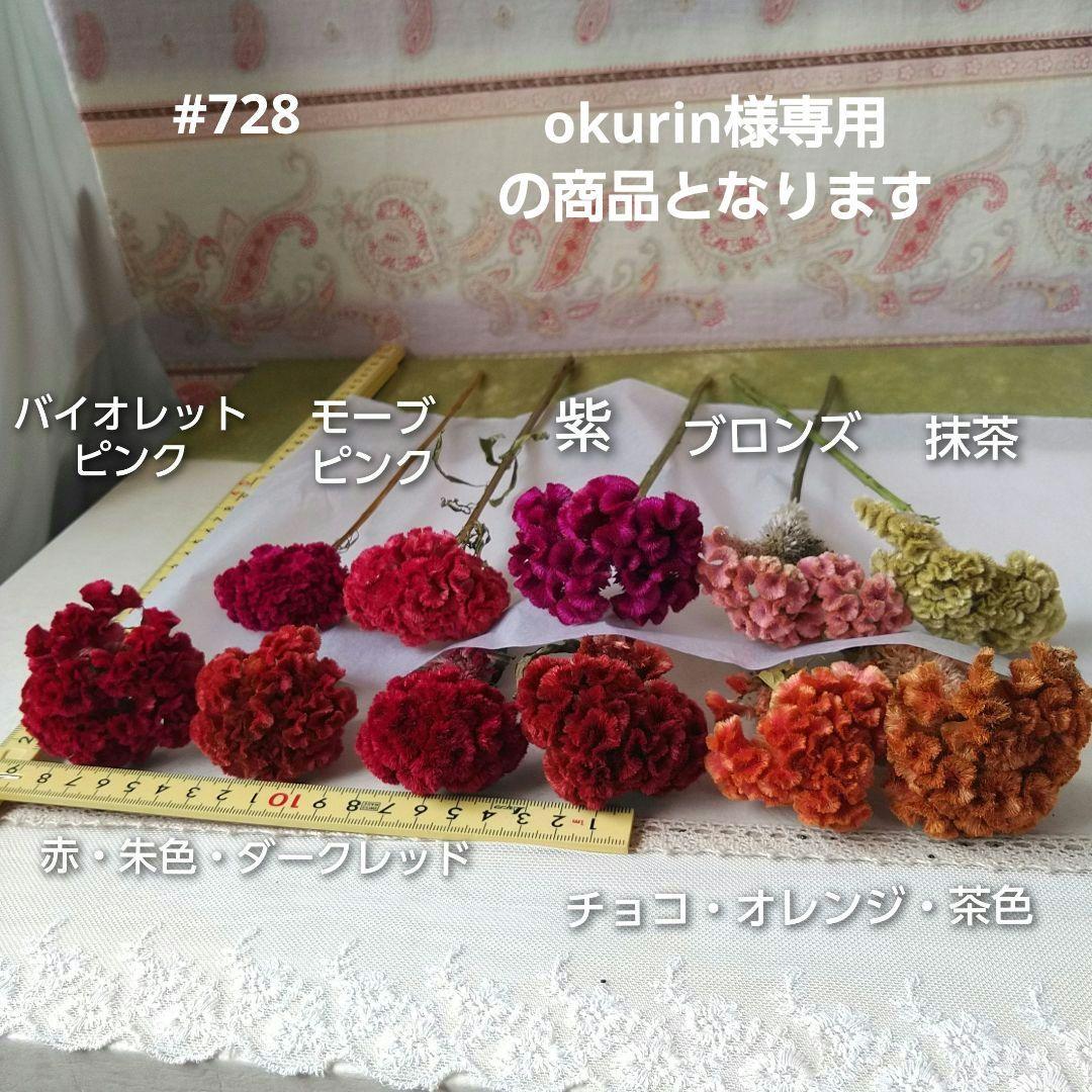 ☆728 okurin様専用 ケイトウ ドライフラワー 110本