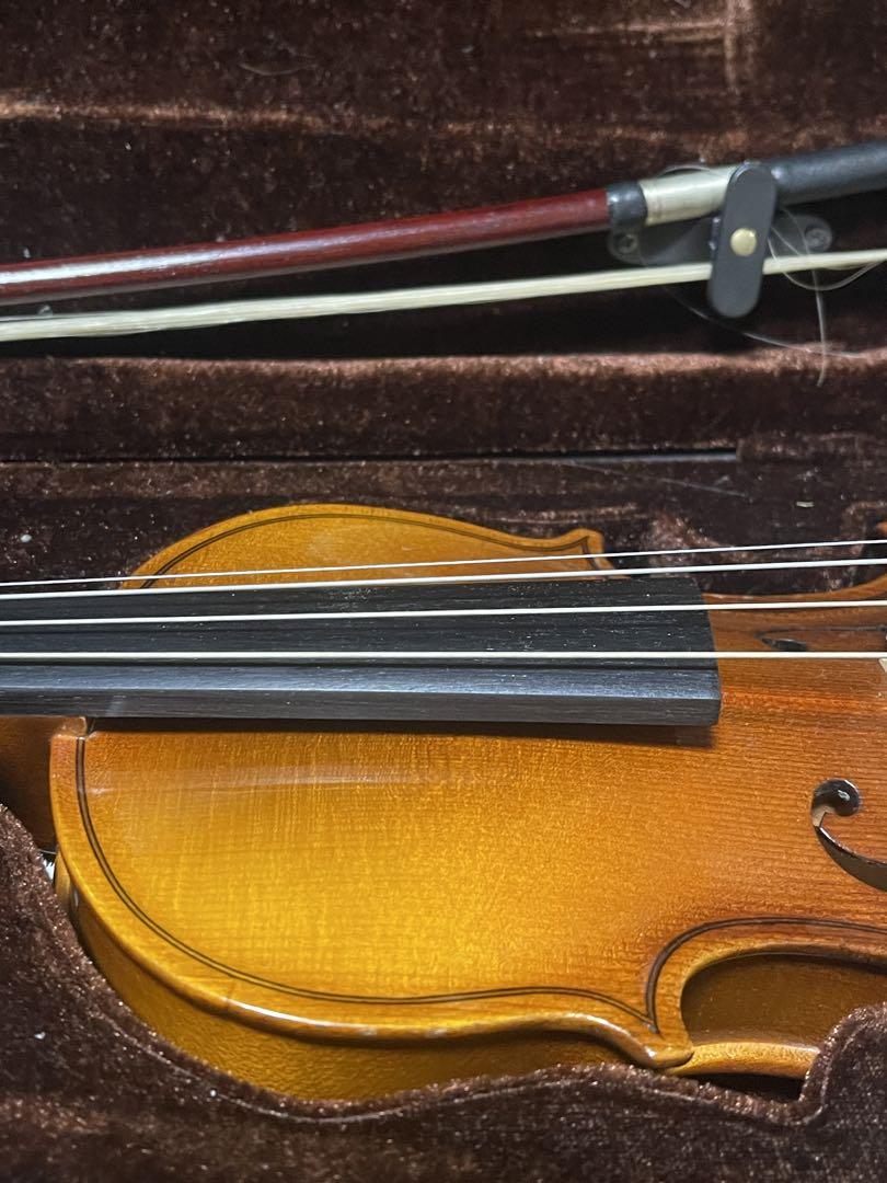 HORA ホラ バイオリン Reghin VIOLIN 弦楽器 木製