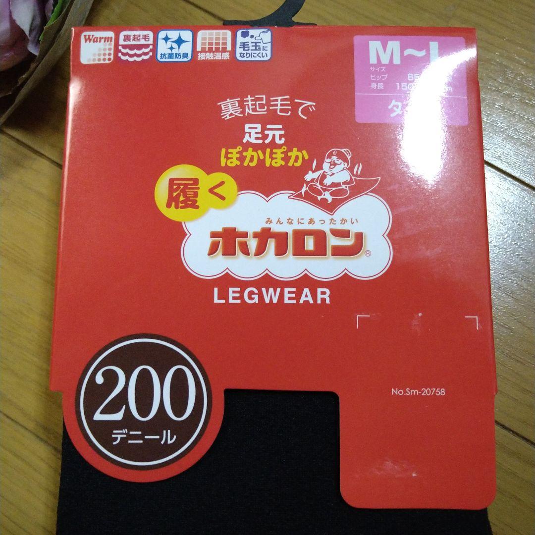 ホカロン 裏起毛 履くホカロン タイツ M〜L 150〜165 ホカロン 裏起毛 履くホカロン タイツ M〜L 150〜165