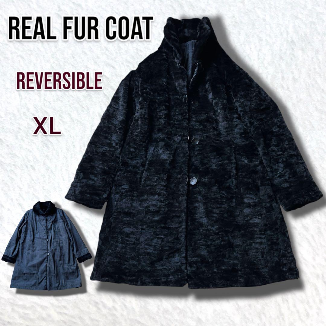 XL