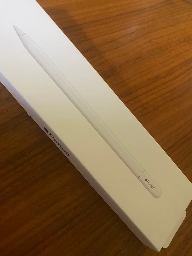 Apple Pencil (USB-C)